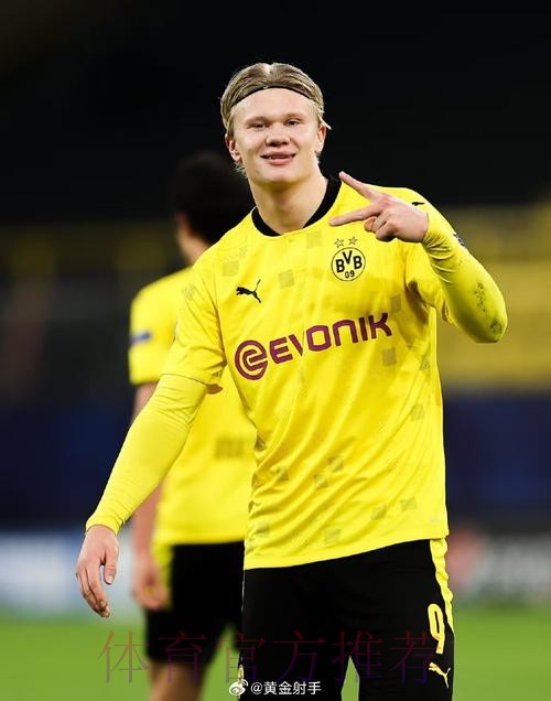 世界杯比利时哈兰德赛事预测全解析 世界杯比利时哈兰德赛事预测全解析