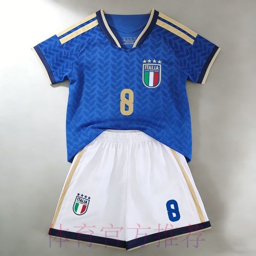 世界杯荷兰德布劳内赛程分析全解析