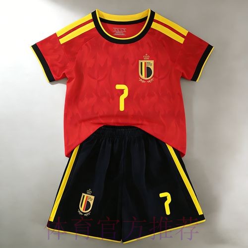 世界杯荷兰德布劳内赛程分析全解析